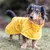 Cane con impermeabile giallo con strisce rifrangenti, adatto per passeggiate con tempo piovoso.