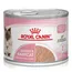 Royal Canin Mother & Babycat 24 x 195 g