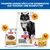 Hill's Science Plan Sterilised Cat Mature Adult 7+ Mousse mit Huhn - 12 x 85 g Hill's Science Plan Sterilised Cat Mature Adult 7+ Mousse mit Huhn - 12 x 85 g