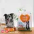 Smølke Adult Medium Complete all-in-one hondenvoer, Daily Balance, uniek eiwitprofiel. Hond naast voerbak en voederzak. Slogan: feed the love.