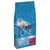 Purina ONE Bifensis Dual Defense Spécial Chat Stérilisé, 7,5 kg zak kattenvoer. Tekst op verpakking deels in het Frans, met afbeelding van een grijze kat.