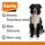 Doppia ciotola Karlie Diner Set Dex con supporto in silicone