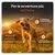 Antenna XL con copertura del 99%, batteria durevole con autonomia di 3 settimane, torcia LED ultra-potente per visione notturna. Ideale per avventure estreme. Antenna XL con copertura del 99%, batteria durevole con autonomia di 3 settimane, torcia LED ultra-potente per visione notturna. Ideale per avventure estreme.