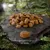Wolf of Wilderness "Explore The Vast Forests" - Weight Management 