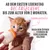 Schesir Kitten Ziegenmilch Schesir Kitten Ziegenmilch