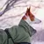 Hund mit grünem Wintermantel und reflektierenden Punkten, Aufschrift 'Tikka' am Geschirr sichtbar. Hund mit grünem Wintermantel und reflektierenden Punkten, Aufschrift 'Tikka' am Geschirr sichtbar.