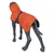Figura modello di cane nera indossa una giacca arancione con motivo e chiusura sulla schiena.