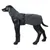 Cappotto nero per cani con protezione per collo e addome, cintura regolabile, presentato su una figura di cane nera.