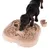 Dog playing with interactive food toy made of plastic, featuring multiple compartments and removable parts.