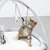 Chaton jouant avec une balle suspendue sur un tapis d’éveil pour chat, arches en tissu gris, jouets suspendus dont plume blanche et peluche visible à gauche.