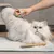 Hand brushes long-haired cat with a green grooming brush. Wooden comb lies on a towel next to it.