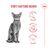 Royal Canin Fussy Exigent