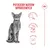 Royal Canin Fussy Exigent