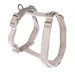 Harnais Nomad Tales Blush, taupe pour chien  - taille XS : tour de poitrail 34 - 49 cm, l 15 mm
