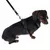Chien noir avec un harnais et une laisse noirs, montre l’ajustement du harnais sur l’animal.