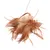 Boule de plumes marron et beige fixée à une tige fine, sans marque visible ni texte.
