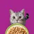 Megapakiet Whiskas Senior, saszetki, 48 x 85 g