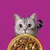Whiskas 1+ Chicken - 3.8kg Whiskas 1+ Chicken - 3.8kg