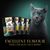 Sheba Pouches Fine Flakes in Jelly 72 x 85g
