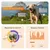 Weenect Tracker GPS XT pour animaux de compagnie pour chien