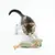 Chaton tigré jouant avec deux jouets verts en tissu et plumes, posés sur fond blanc.