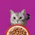 Multipakke Whiskas 1+ Adult porsjonspose 12 x 85 g Multipakke Whiskas 1+ Adult porsjonspose 12 x 85 g