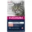 Eukanuba Senior Graanvrij Rijk aan Zalm - Dubbelpak: 2 x 10 kg