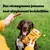 Texte : Des récompenses juteuses tout simplement irrésistibles. Emballage Pedigree Ranchos Wrap tenu devant un chien, friandise à la main.