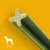 Grüner Kausnack mit X-Form, Symbol eines Hundes und Text '25 kg+' unten links auf gelbem Hintergrund.