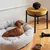 Brown dachshund sitting in a grey dog bed. Next to the bed are a yellow stool, a black knotted toy, and a bowl with dry food.