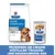 Hill's Prescription Diet Derm Complete Trocken- und Nassnahrung für Hautpflege und Futterempfindlichkeiten. Tierärztlich empfohlen.