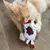 Plush toy in cow shape with brown and white spots, held by a cat.