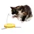 Toy for cats with yellow base, grey rod and feather attachment. Cat interacts with the toy.