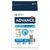 ADVANCE Active Defense Sterilized Adult kattenvoer 2–10 jaar, 3 kg. Met kalkoen, prebiotica, vezels. Afbeelding van een grijze kat op de verpakking. Zichtbare claims: gezonde microbiota.