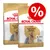 Две опаковки Royal Canin Adult Yorkshire Terrier с изображение на йоркширски териер и голям червен символ за процентно намаление върху едната опаковка. Две опаковки Royal Canin Adult Yorkshire Terrier с изображение на йоркширски териер и голям червен символ за процентно намаление върху едната опаковка.
