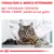 CONSULTARE IL MEDICO VETERINARIO per individuare l’alimento ROYAL CANIN adatto al tuo gatto.