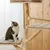 Kratzbaum aus Holz mit gepolsterten Liegeflächen und Spielball. Katze sitzt auf einer unteren Plattform.