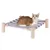Gestreepte hangmat met houten frame, daarop ligt een rood-witte kat.