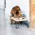 Gamelle double Designed by Lotte Linga pour chat