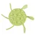 Green turtle-shaped toy with suction cups on the top and flexible legs.