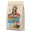 Ultima Medium / Maxi Junior, kurczak - 2 x 3 kg