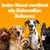 Text: Jeder Hund verdient ein liebevolles Zuhause. Vier Hunde verschiedener Rassen vor orangefarbenem Hintergrund.