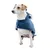 Dog wearing a blue coat with press studs and hood. Product shows design and fit of the coat.