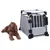 Transport box made of aluminium with grid door and sturdy corners, suitable for pets. Dog shown next to the box.