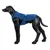 Figura de modelo de perro negro lleva un arnés azul para perro con tira reflectante y cierre de velcro ajustable.