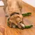 Dog playing with green plush snake-shaped toy on wooden floor.
