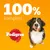 100% potpuno. Pedigree s crvenom oznakom i bernardincem na narančastoj pozadini.