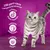 Text på engelska: 100 purr-cent complete & balanced, urinary tract health, natural defences, healthy heart. Bild på grå katt med svart mönster mot lila bakgrund.