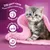 Text på engelska: 100 purr-cent of your kitten’s daily needs, natural defences, healthy bones and teeth, digestive support. Bild på kattunge med rosa filt.