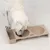 Comedero y bebedero claro de plástico con dos cuencos, marca Modern Living. Perro comiendo de uno de los cuencos.